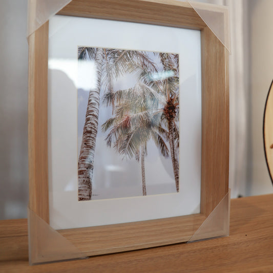 Small Box Noosa Palms Framed Print