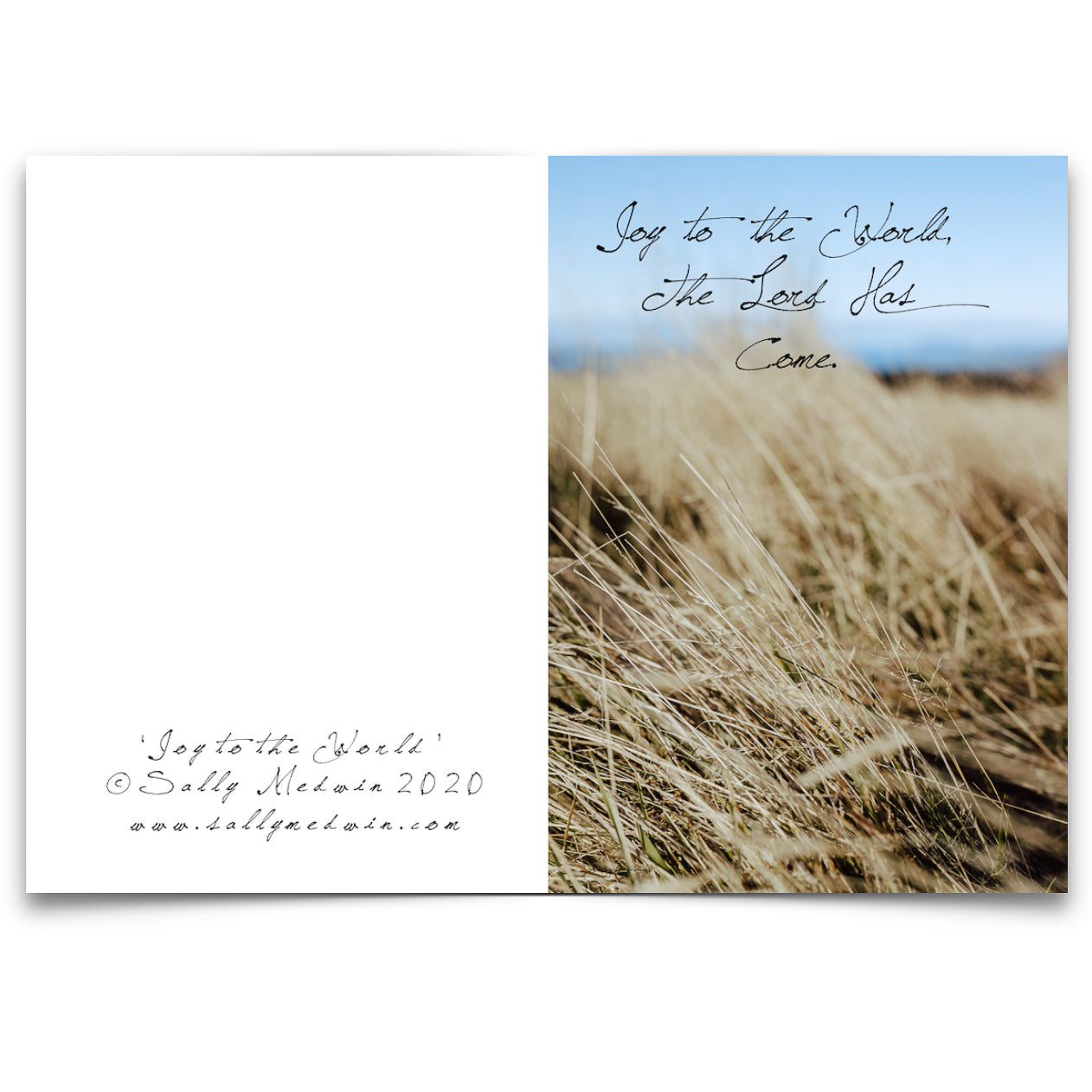 Field - Set of 2 Cards