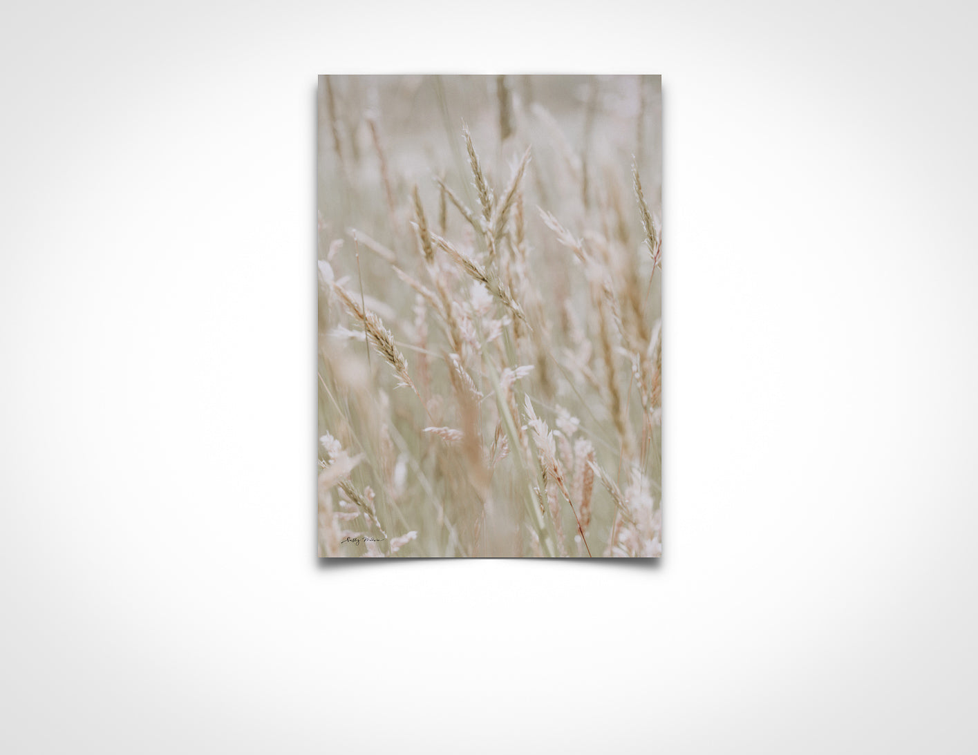 White Grass Portrait