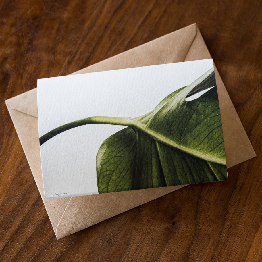 Plant Lover Card Set