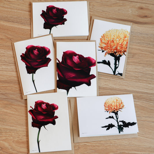 New Edition Fresh Blooms Card Set