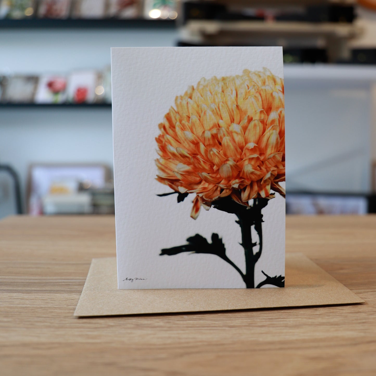 New Edition Fresh Blooms Card Set