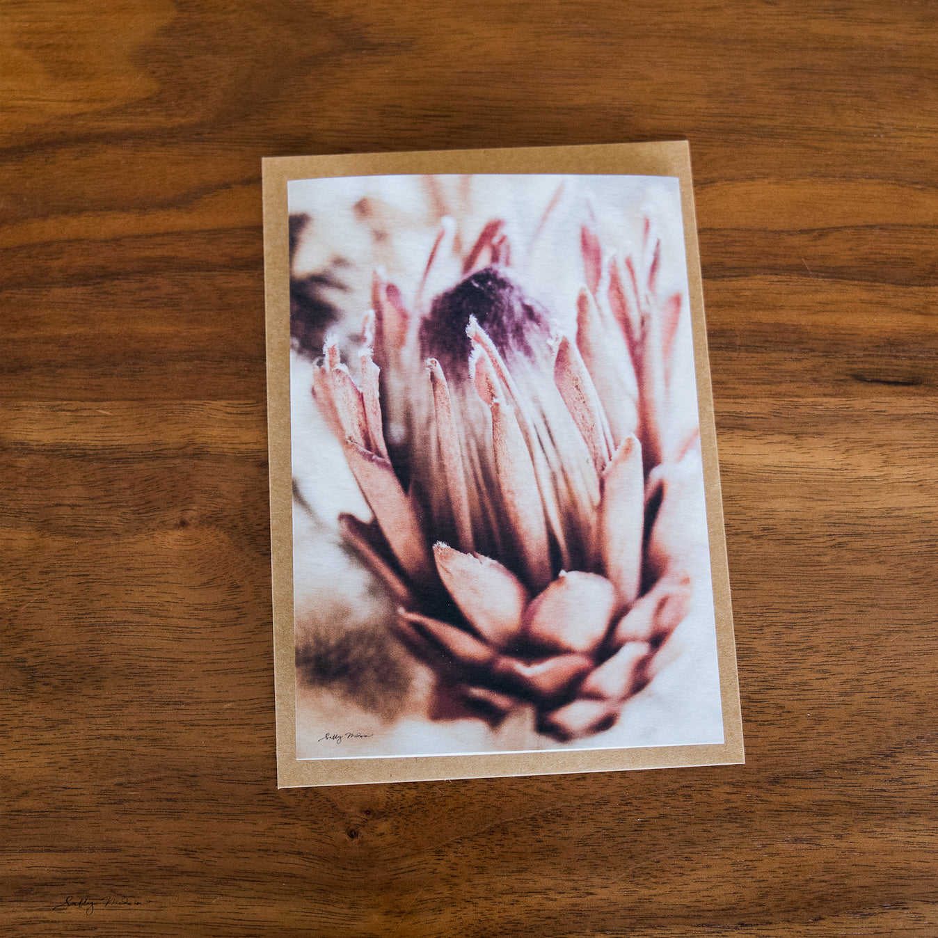 Dried Blooms Card Set